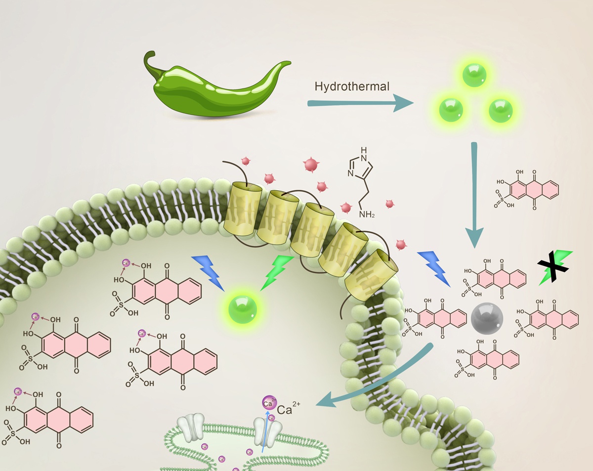 Analytical Chemistry Journal Graphic Design Service