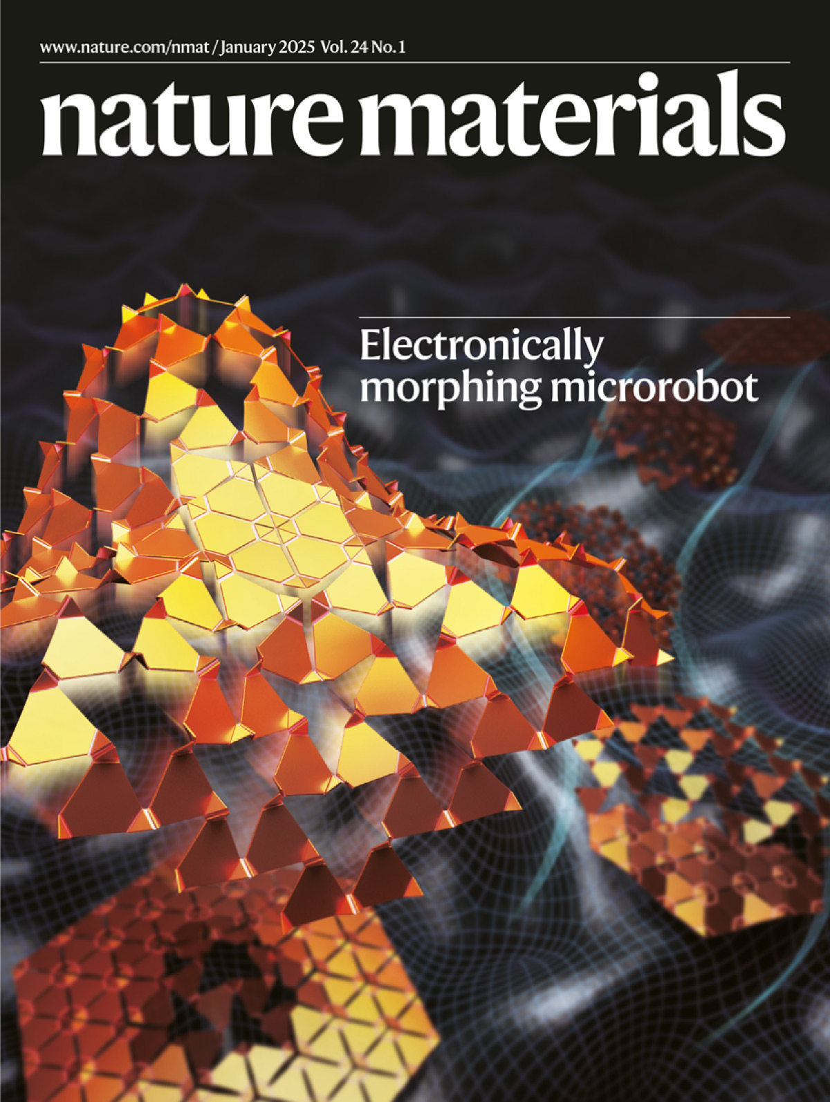 『Cover Story』From nanometers to sub-millimeters: the transformation of microrobots!