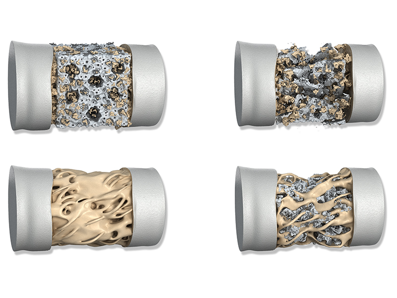 Graphic Illustration Design