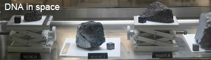 Asteroid Discovery Shock: Scientists Find All 5 DNA Bases in Space – What It Means for the Origins of Life