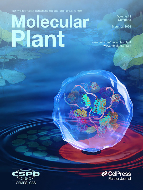 『Cover Story』 Sondii Artwork Featured in Molecular Plant: Stress Granules and Glutathionylation Build a Cellular Redox Defense Wall in Arabidopsis